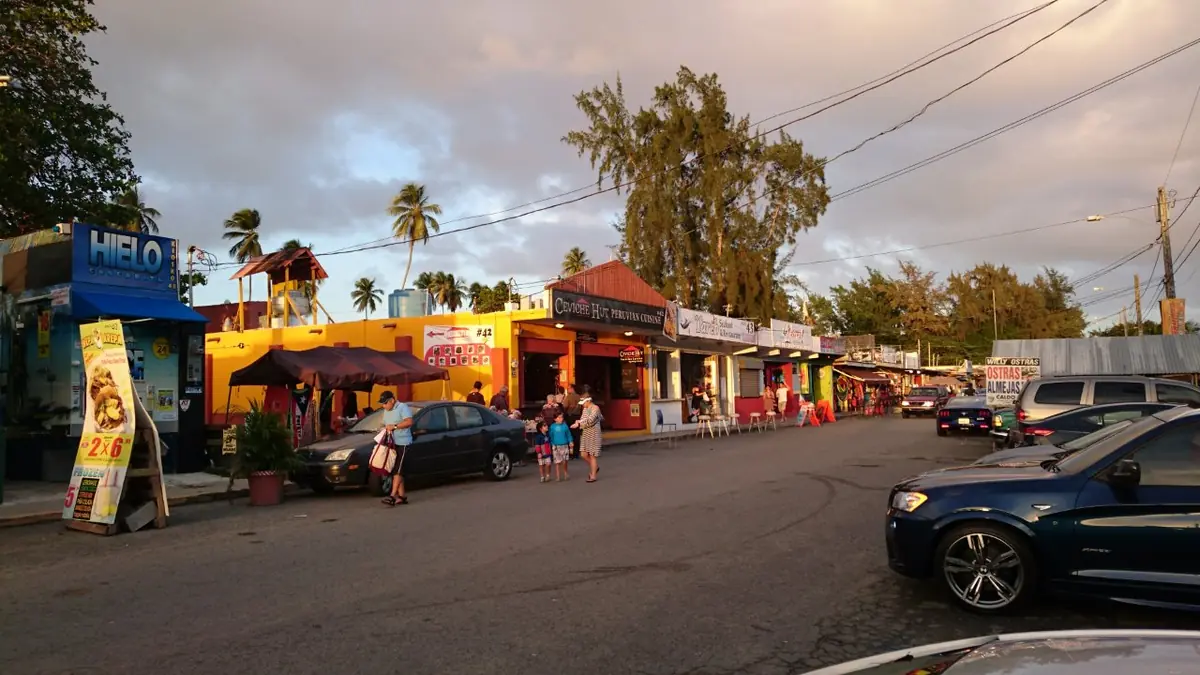 Puerto Rico Bioluminescent Bay Tours (Read Before Booking) 9 puerto rico bioluminescent bay tours read before booking 6