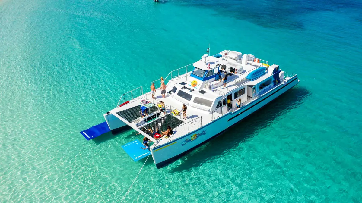 puerto rico catamaran tours the brutal truth read first 7