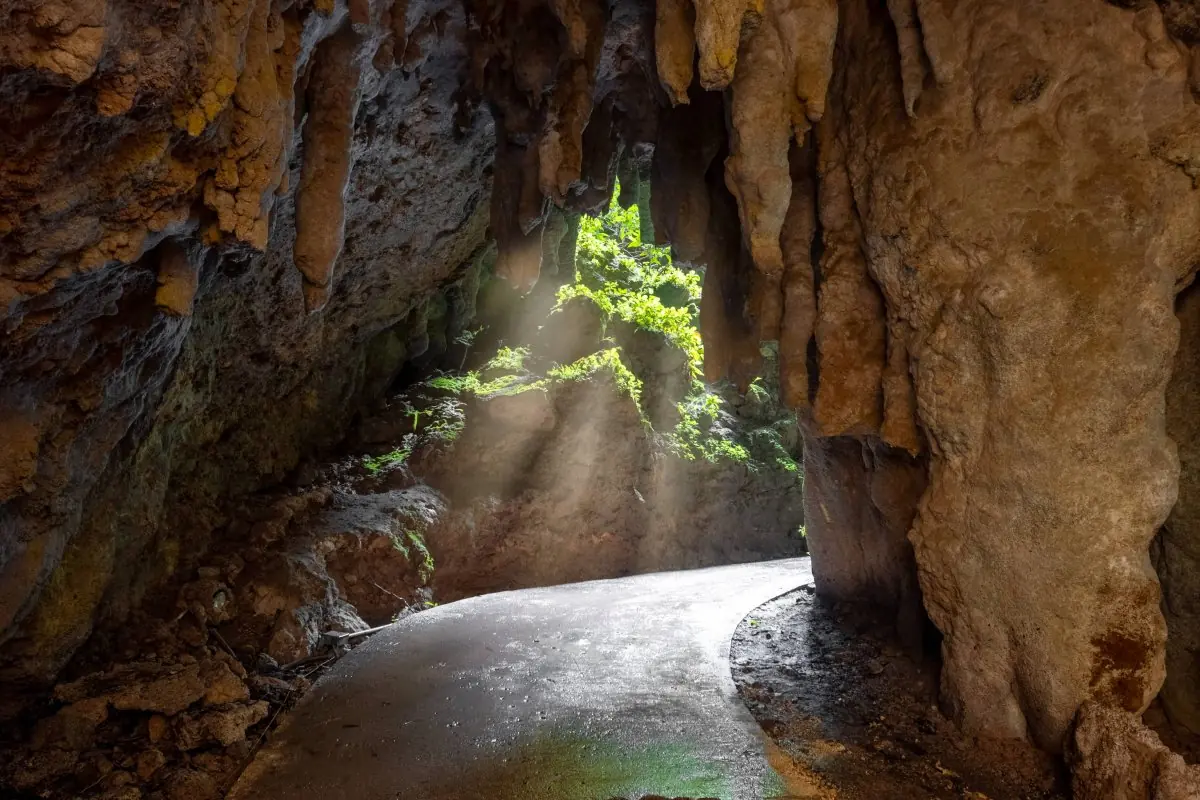 Puerto Rico Caves: Avoid These 5 Mistakes (Read First) 5 puerto rico caves avoid these 5 mistakes read first 2