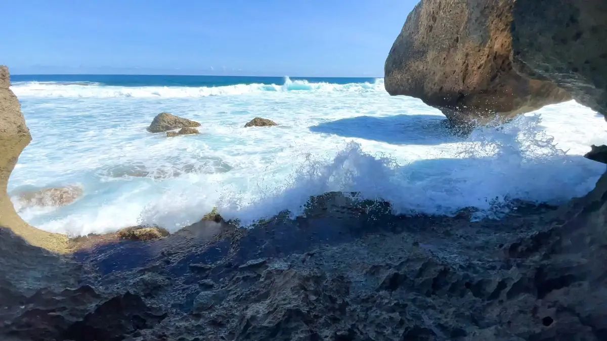 Puerto Rico Caves: Avoid These 5 Mistakes (Read First) 10 puerto rico caves avoid these 5 mistakes read first 7