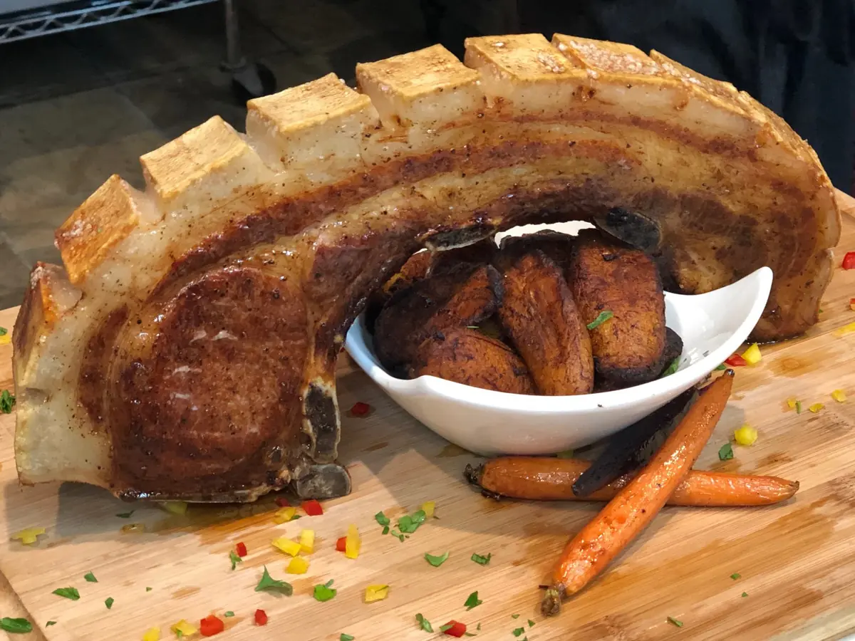 Puerto Rico Caves: Avoid These 5 Mistakes (Read First) 11 puerto rico caves avoid these 5 mistakes read first 8