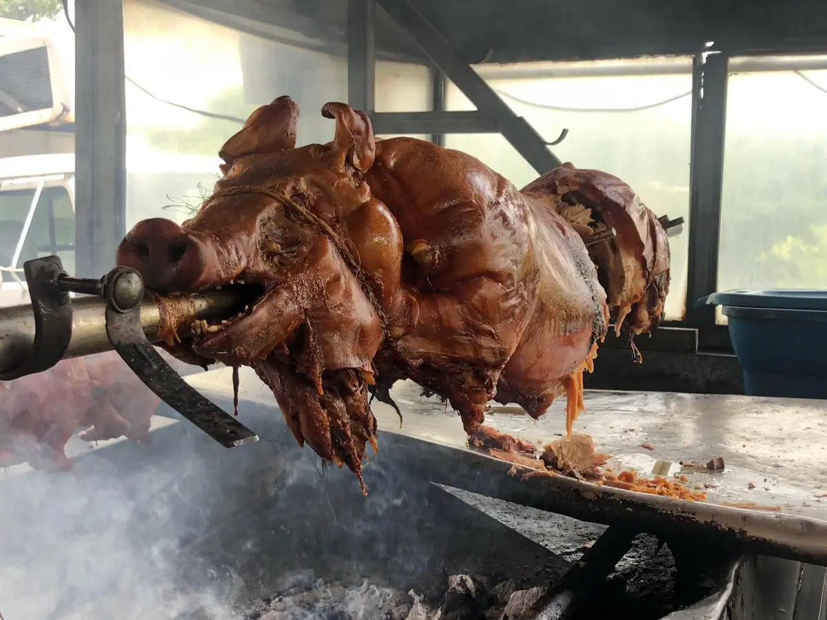 Puerto Rico Road Trip Itinerary (Avoid Toll Disasters) 9 puerto rico road trip itinerary avoid toll disasters 6