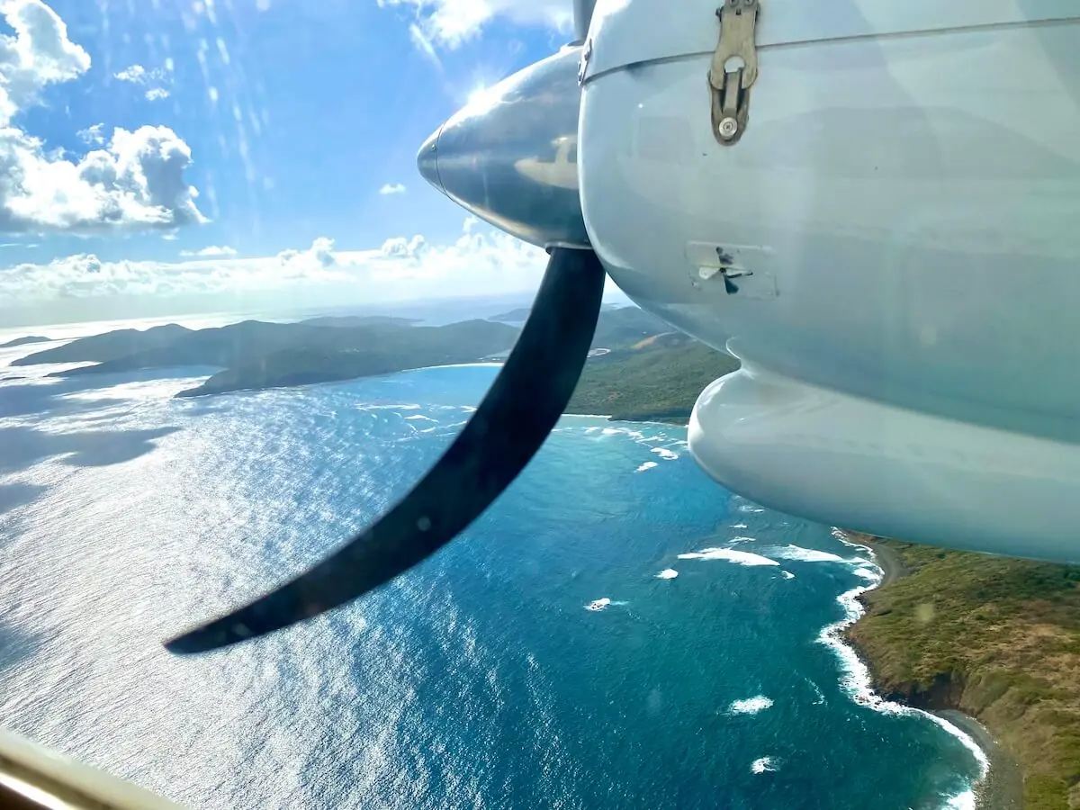 Scuba Diving In Puerto Rico: Dodge The Long Drive (Truth) 4 scuba diving in puerto rico dodge the long drive truth 1