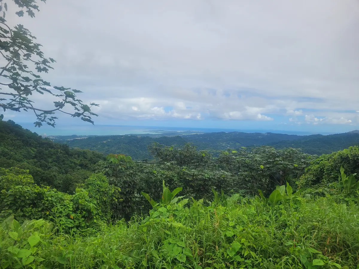 US Cell Service: Puerto Rico Carrier Traps (SOS Warning) 5 us cell service puerto rico carrier traps sos warning 3