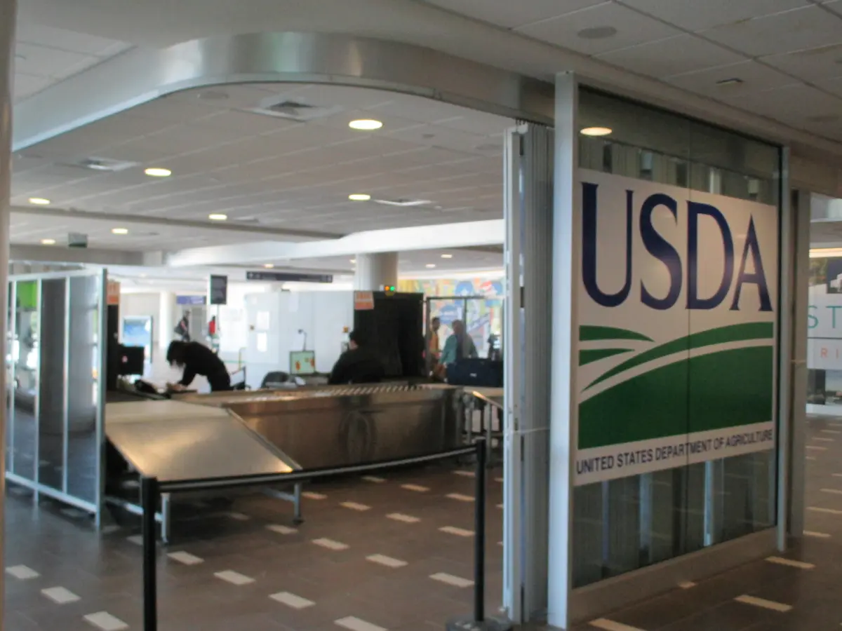 usda inspection puerto rico airport guide avoid 1k fine 1