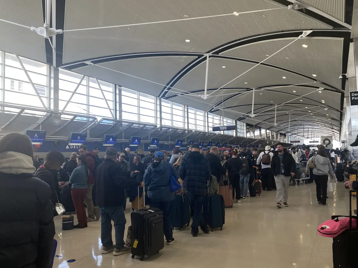 USDA Inspection Puerto Rico Airport: Guide (Avoid $1k Fine) 6 usda inspection puerto rico airport guide avoid 1k fine 3