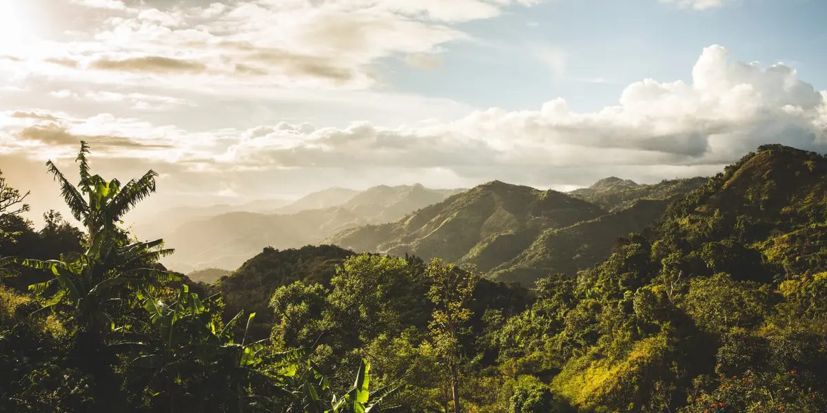 USDA Inspection Puerto Rico Airport: Guide (Avoid $1k Fine) 7 usda inspection puerto rico airport guide avoid 1k fine 4