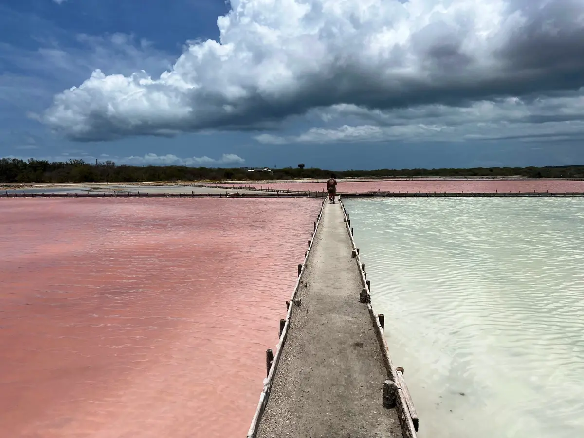 Where to stay in Puerto Rico (Read Before Booking) 9 where to stay in puerto rico read before booking 6