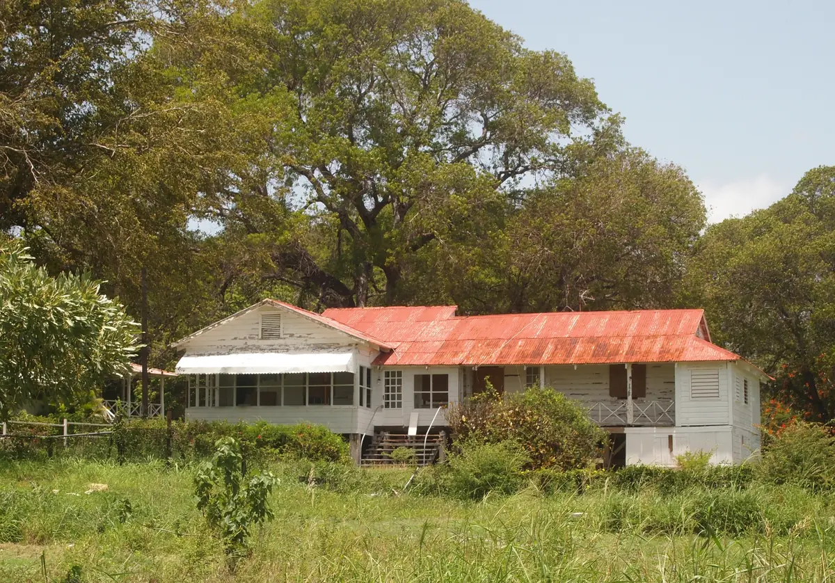 a guide to puerto rico coffee from hacienda to cup 1