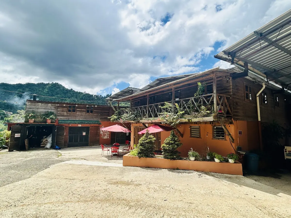 a guide to puerto rico coffee from hacienda to cup