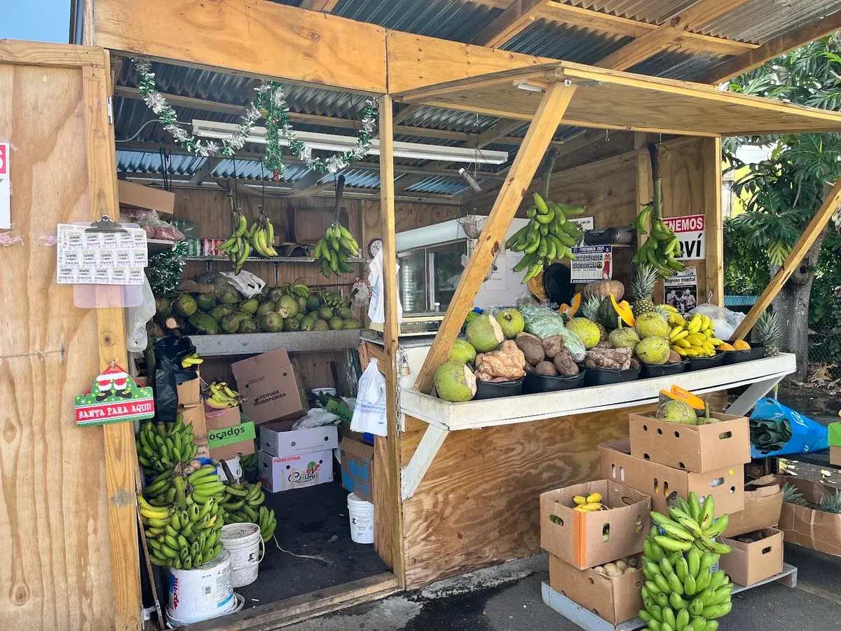 Digital Nomad Guide to Puerto Rico: Taxes, Towns & Reality 4 digital nomad guide to puerto rico taxes towns reality 1