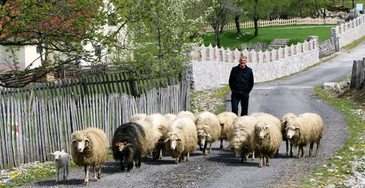 Driving in Albania: The Complete Guide for Americans 8 driving in albania the complete guide for americans 4