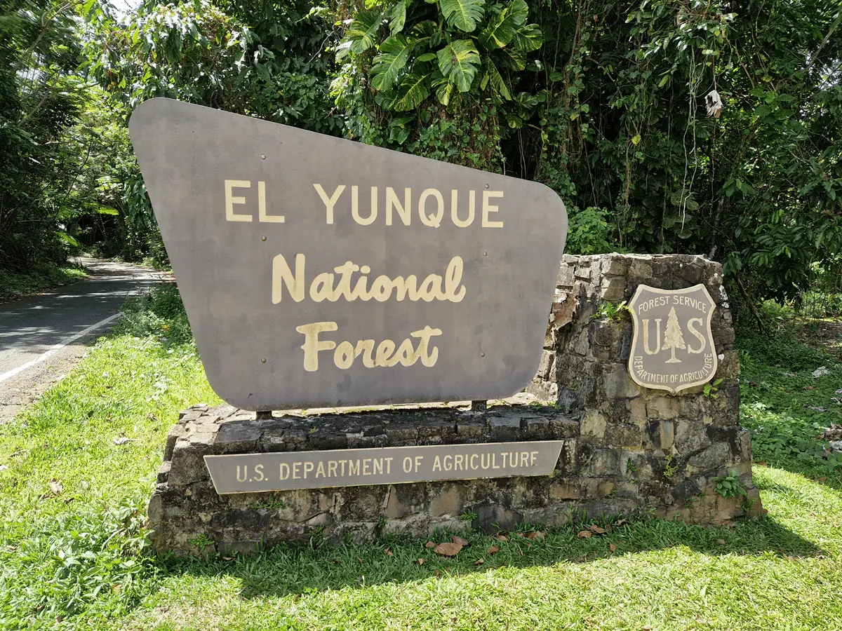 el yunque puerto rico a guide to the us rainforest 1