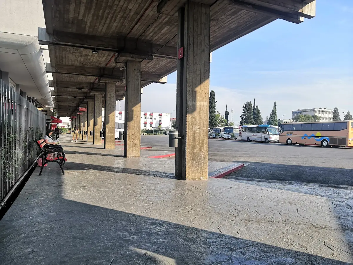 Montenegro to Albania: 3 Routes, 3 Borders (With Costs) 3 montenegro to albania 3 routes 3 borders with costs