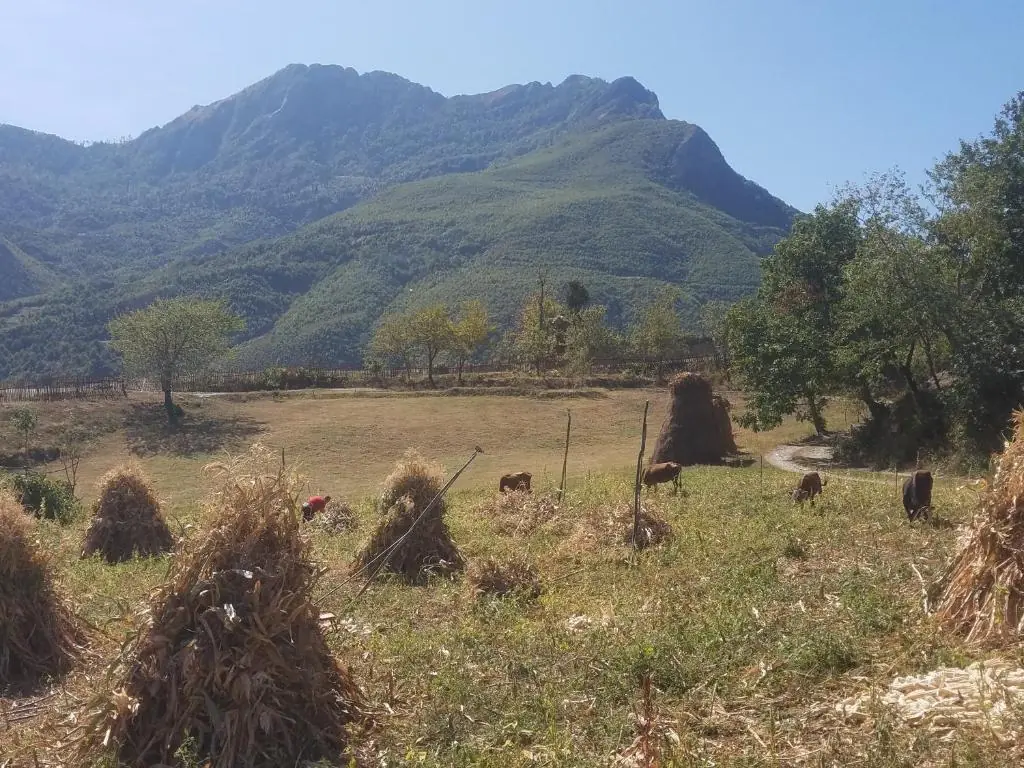 agrotourism albania 15 best farms prices in usd 10