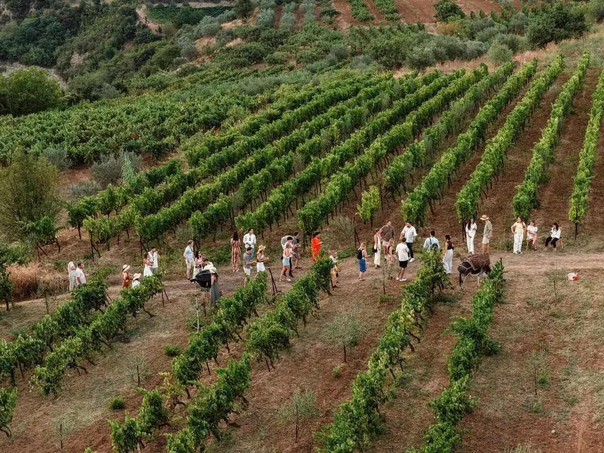 agrotourism albania 15 best farms prices in usd 2