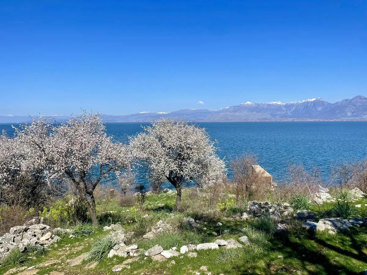 Things to do in Shkoder: 10 picks (and 1 to skip) 11 things to do in shkoder 10 picks and 1 to skip 8