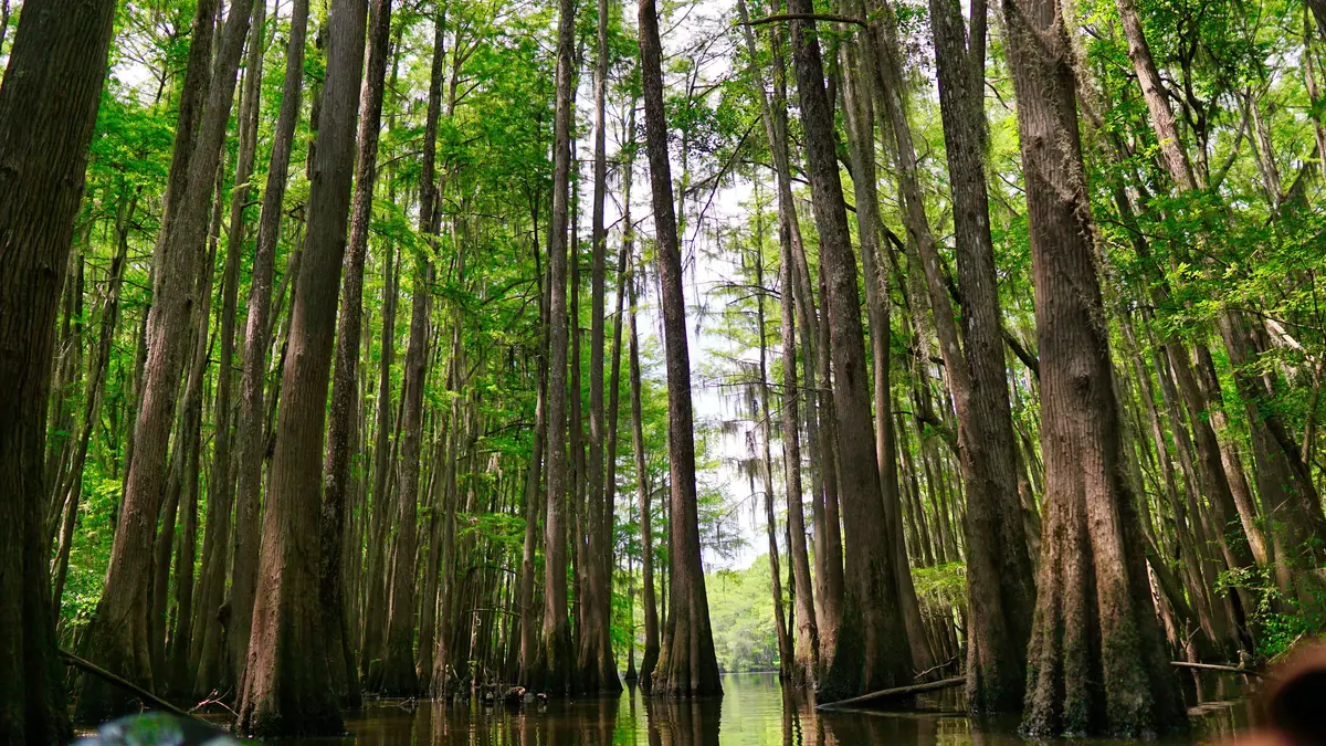 East Coast National Parks: The Complete Planner 8 8 east coast national parks ranked with what to skip 5