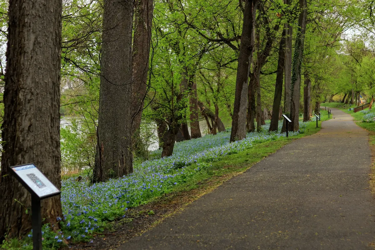 Atlantic Coast Trail: Bike Routes, Costs & What to Skip 4 atlantic coast trail east coast greenway vs aca route 1