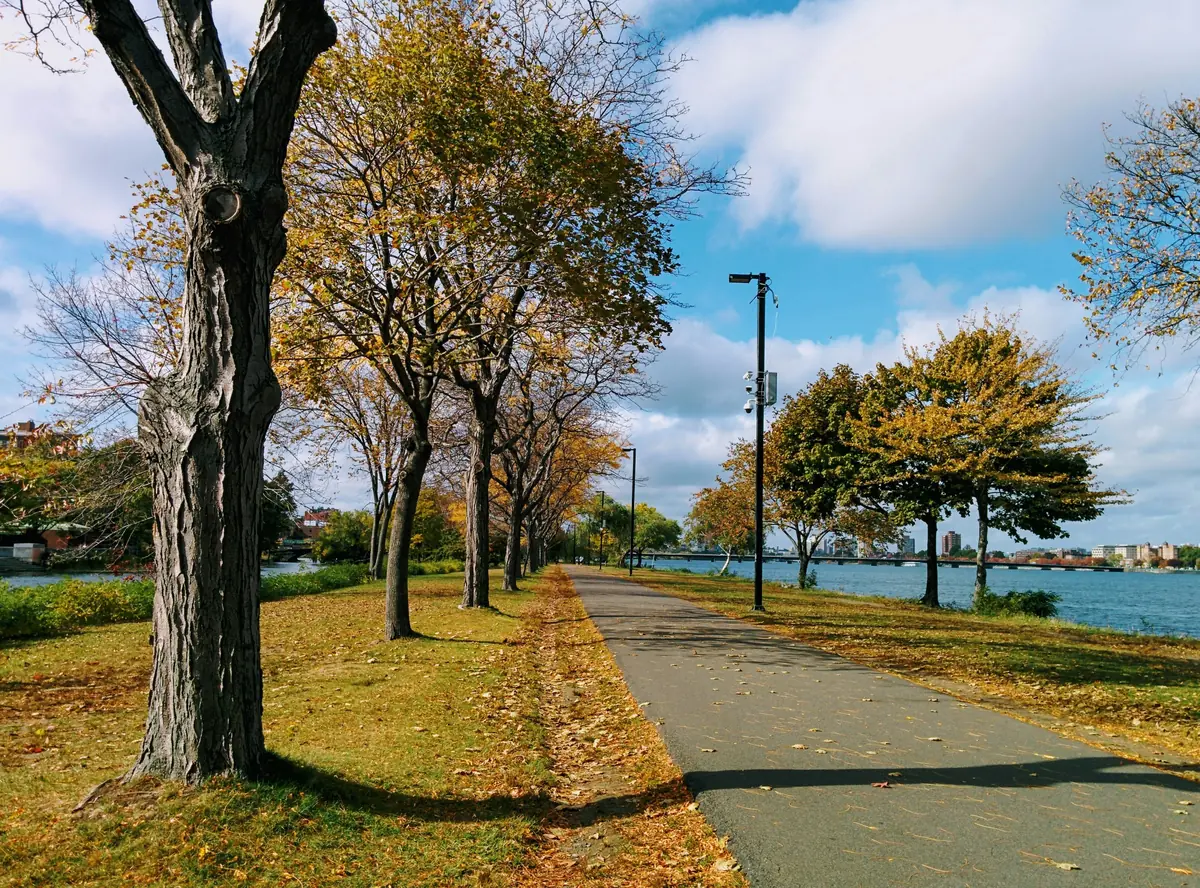 Atlantic Coast Trail: Bike Routes, Costs & What to Skip 8 atlantic coast trail east coast greenway vs aca route 5