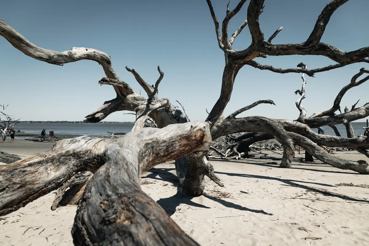 east coast beaches 10 best for families surf and solitude 6