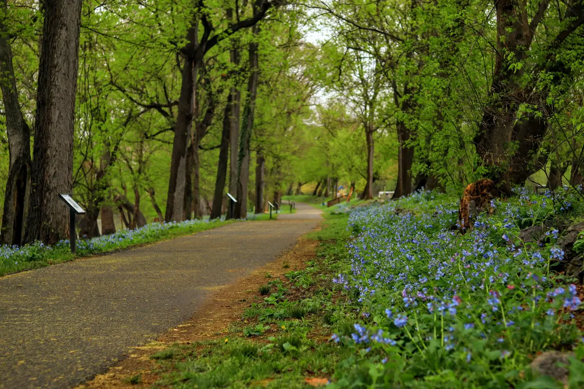 East Coast Cycling: 8 Routes Worth It (and 1 to Skip) 5 east coast cycling routes 7 worth the trip and what to skip 2
