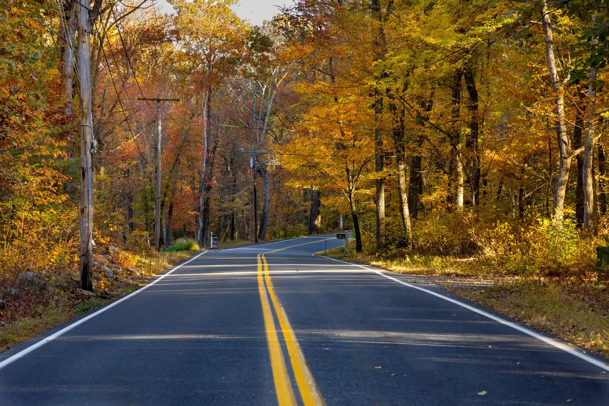 East Coast Food Tour: Route, Cities, and Costs 6 east coast food tour 8 cities honest picks 3