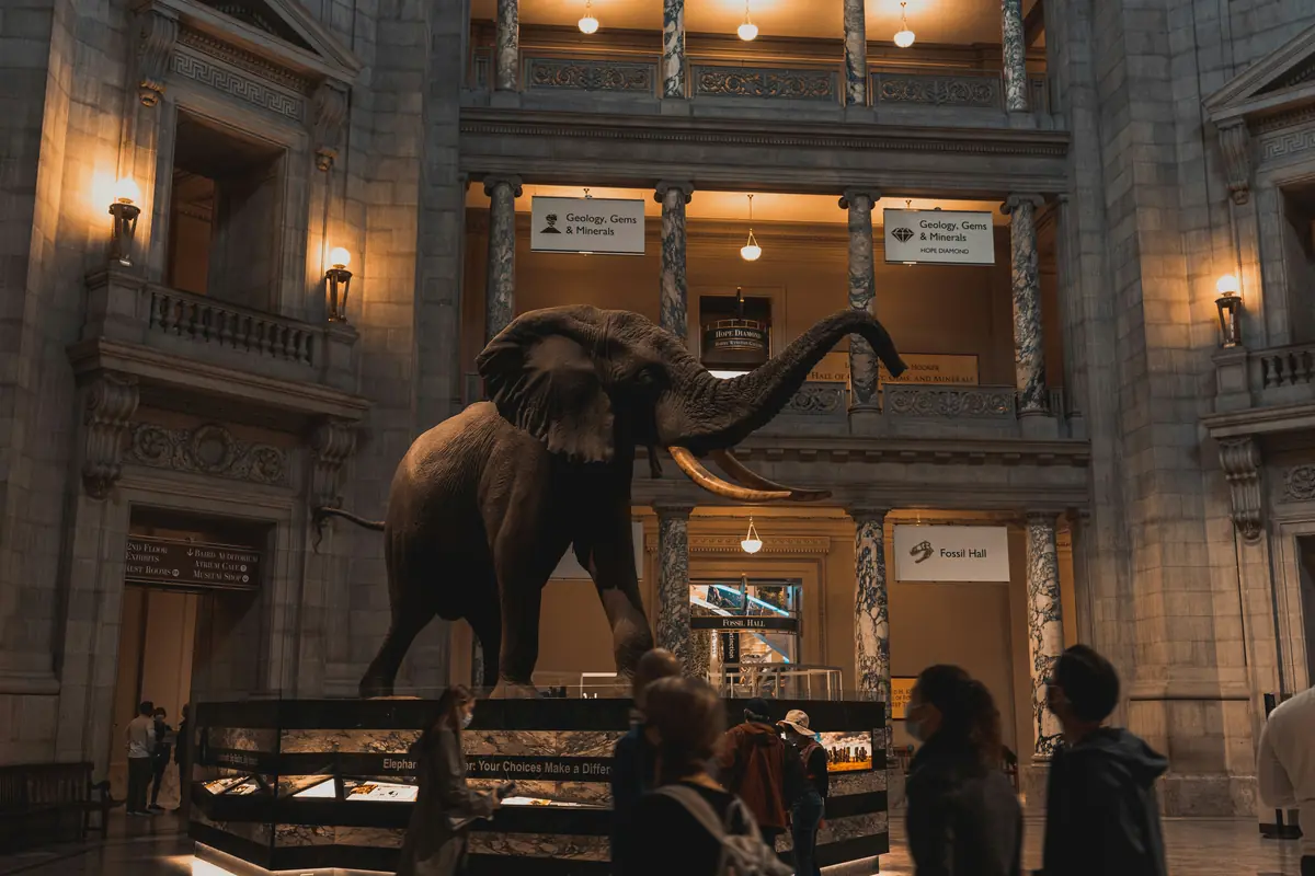 East Coast Museums: What's Free, What's $30 4 east coast museums 10 worth planning a road trip around 1