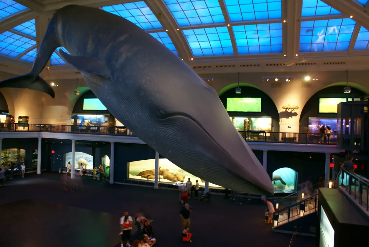 East Coast Museums: What's Free, What's $30 5 east coast museums 10 worth planning a road trip around 2
