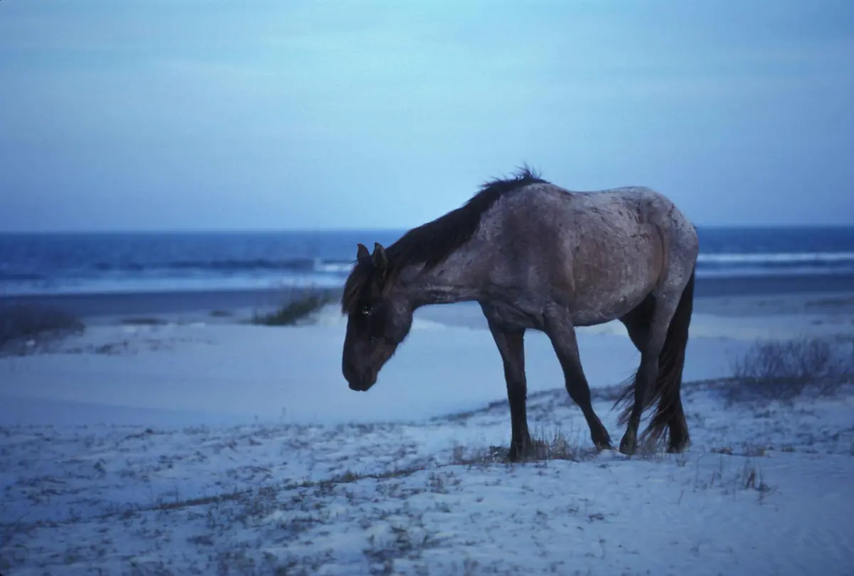 East Coast Photography: 11 Spots and When to Shoot Them 8 east coast photography 11 spots and when to shoot them 3