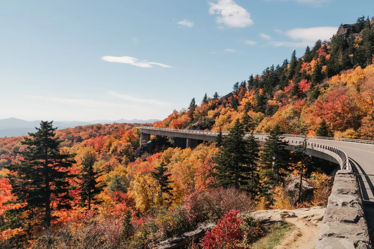 Best East Coast Scenic Drives, Ranked and Compared 3 east coast scenic drives 6 routes that actually deliver