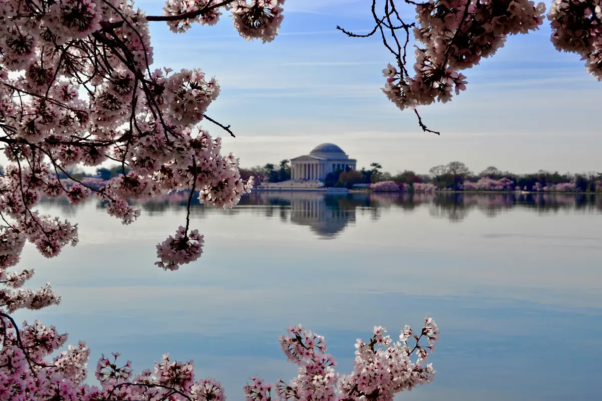 East Coast Spring Break: Where to Go by Vibe 11 east coast spring break where to go and skip 7