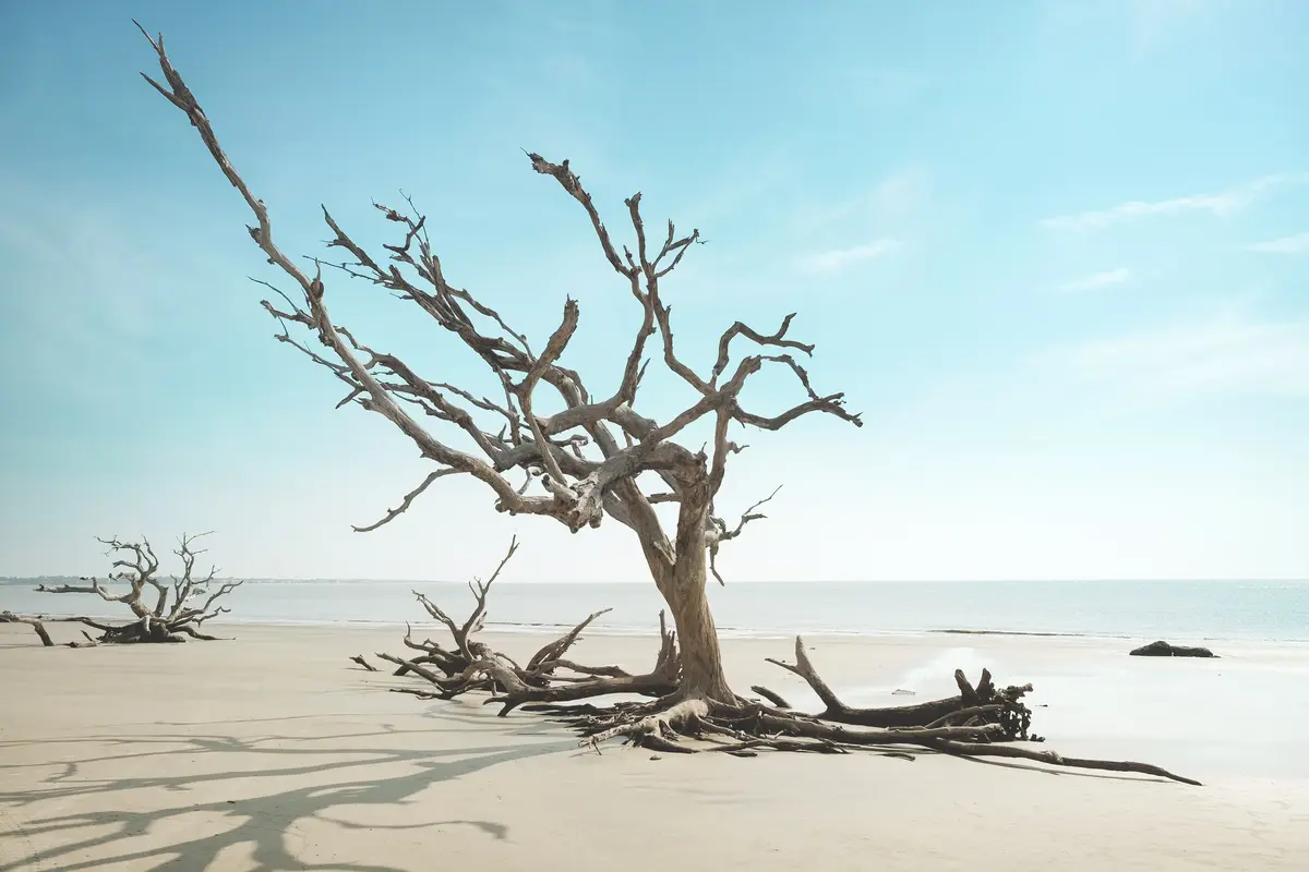 East Coast Summer Vacation: 16 Towns, Maine to Florida 18 east coast summer vacation 8 spots worth the drive 11