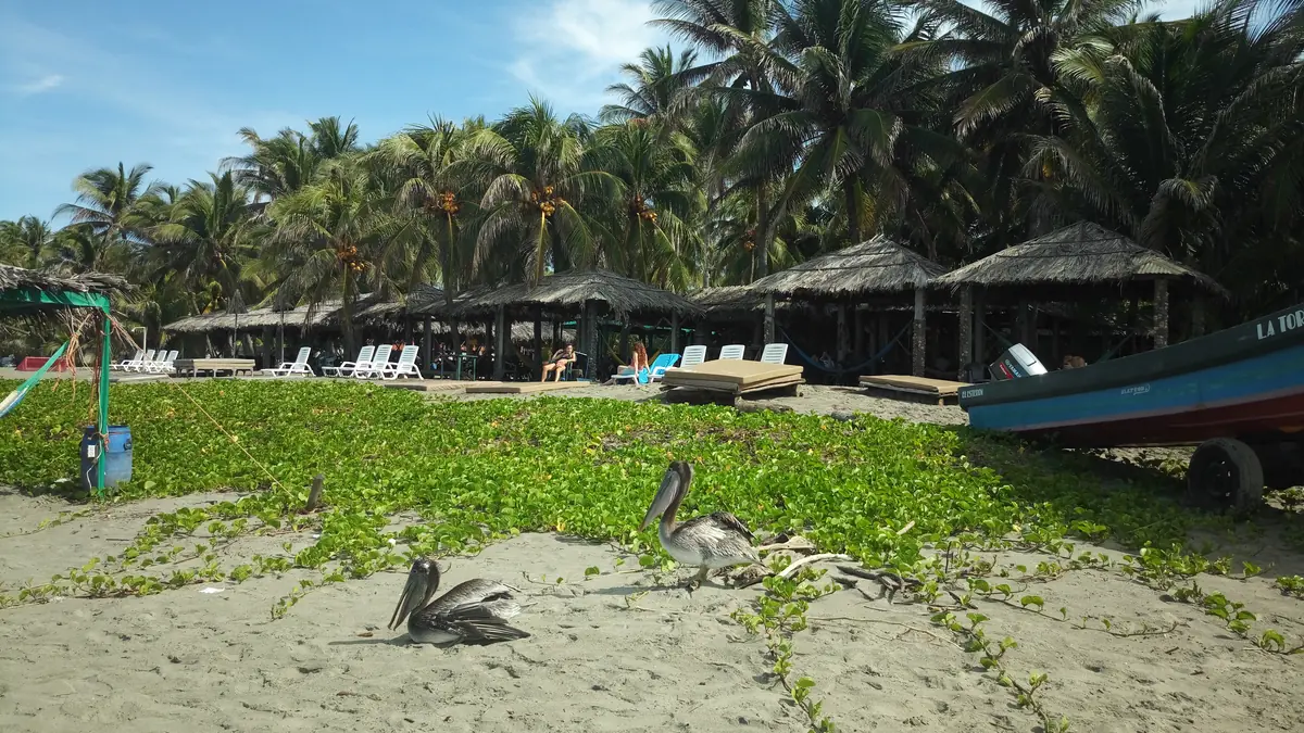 El Salvador Eco Lodges: $10 Dorms to $300 Suites 8 el salvador eco lodges 10 dorms to 300 suites 5