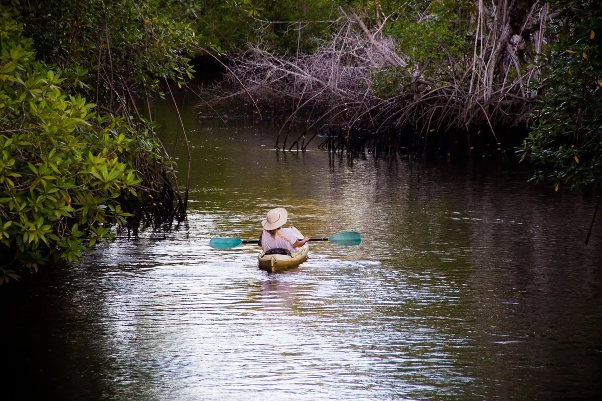 El Salvador Eco Lodges: $10 Dorms to $300 Suites 10 el salvador eco lodges 10 dorms to 300 suites 7