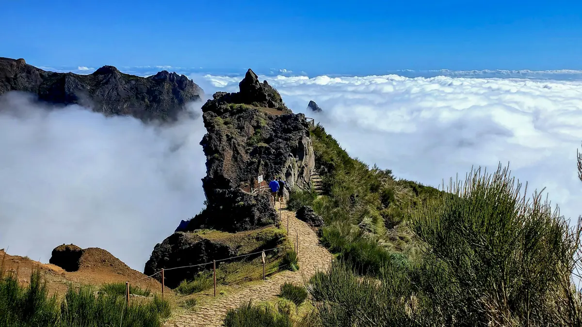 Madeira, Portugal: The Honest First-Timer's Guide 6 madeira portugal 10 experiences worth every step 3
