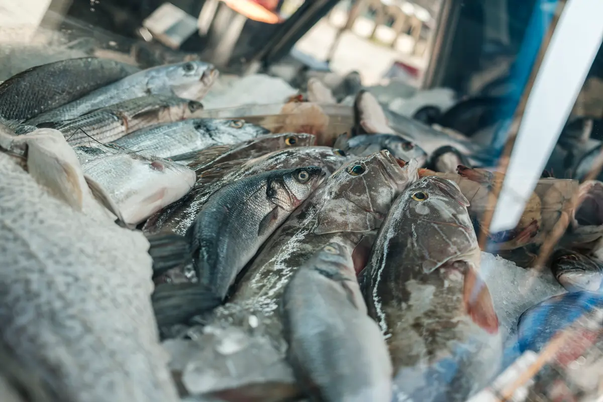 Markets in Portugal: Lisbon, Porto and the Algarve's Best 10 markets in portugal lisbon porto and the algarves best 8