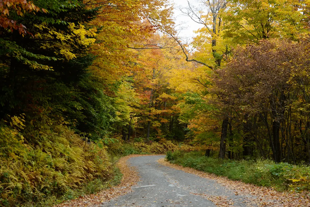 New England Road Trip: The Perfect 7-Day Loop 5 new england road trip 7 day fall foliage itinerary 2