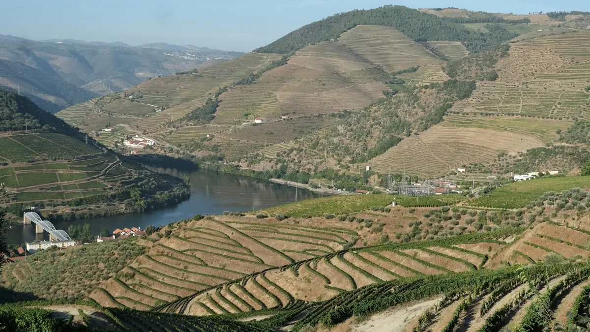 Porto Travel Guide: A Local-Smart Plan for First-Timers 9 porto travel guide 19 things to do and a few to skip 8