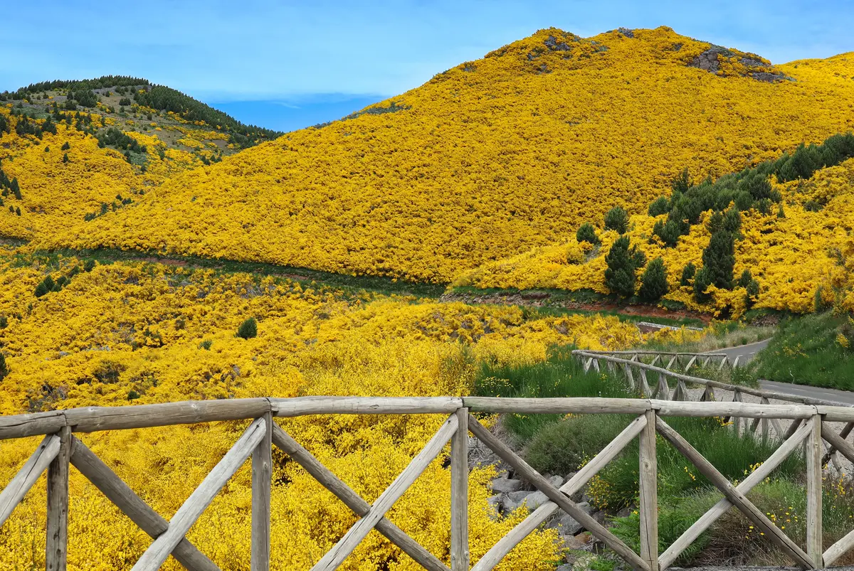 Portugal Hiking: Best Trails and What to Know Before You Go 3 portugal hiking best trails and what to know before you go 1