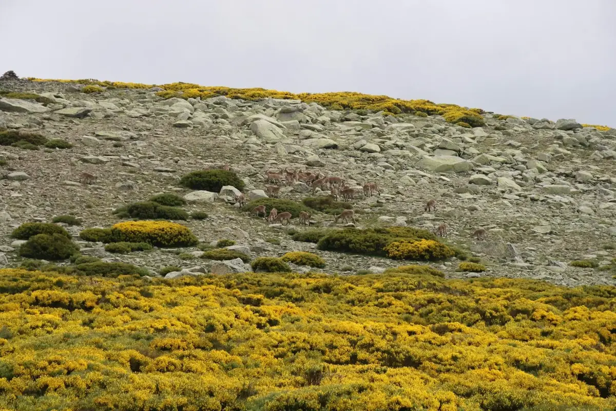 Portugal Hiking: Best Trails and What to Know Before You Go 8 portugal hiking best trails and what to know before you go 6