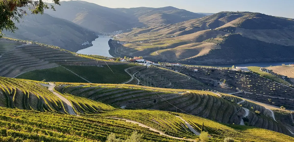 Portugal Hiking: Best Trails and What to Know Before You Go 10 portugal hiking best trails and what to know before you go 8