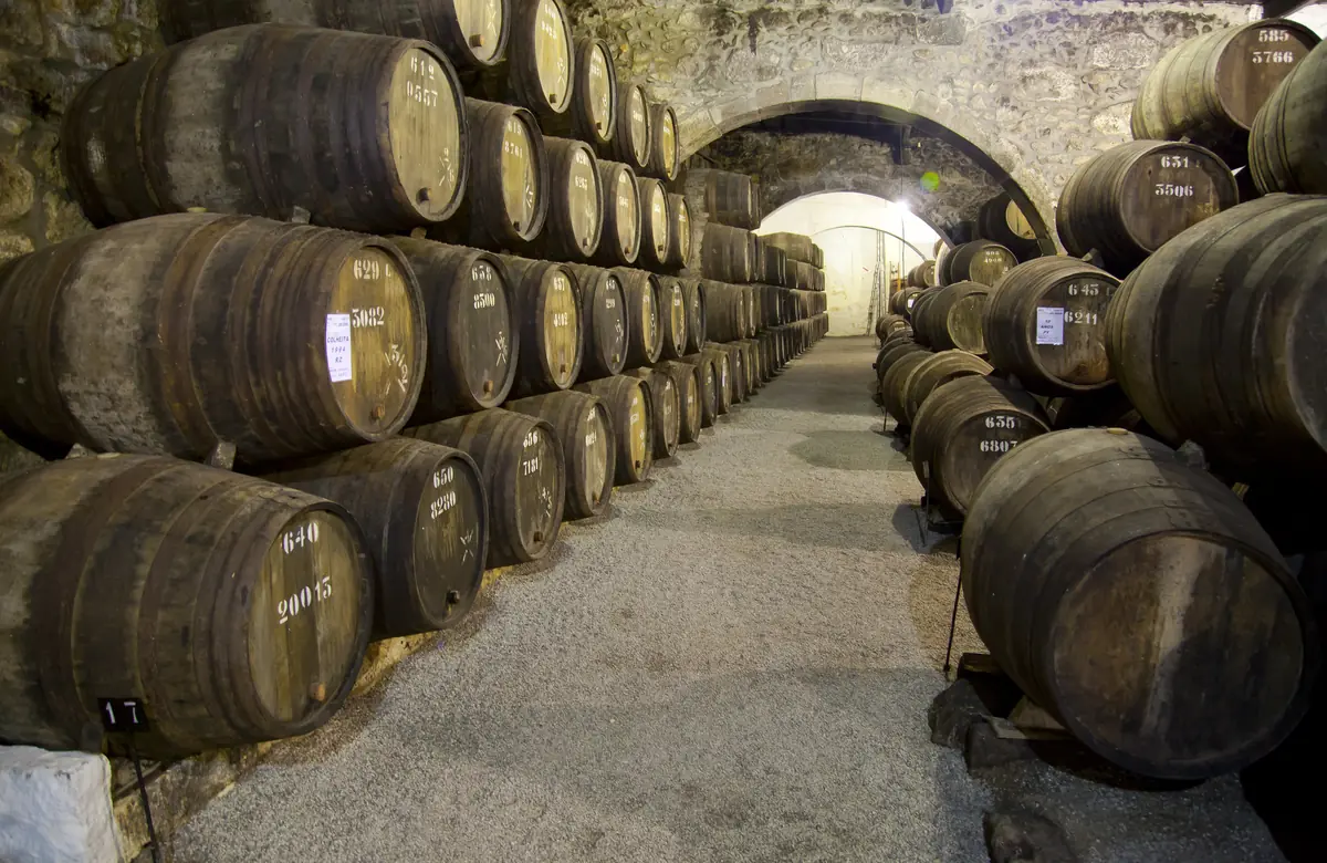 Portugal Wine Regions: 5 to Visit (and What to Drink) 4 portugal wine regions 5 to visit and what to drink 1
