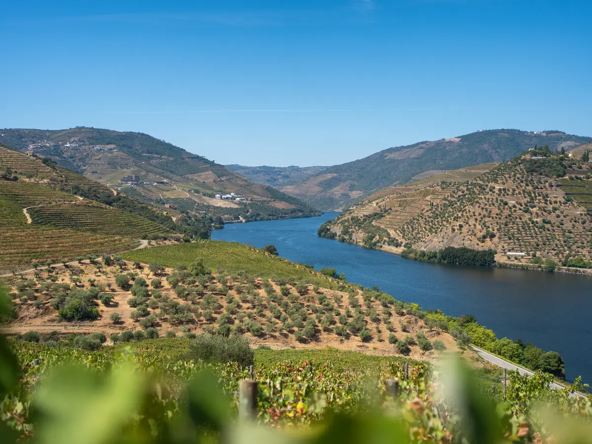 Portugal Wine Regions: 5 to Visit (and What to Drink) 5 portugal wine regions 5 to visit and what to drink 2
