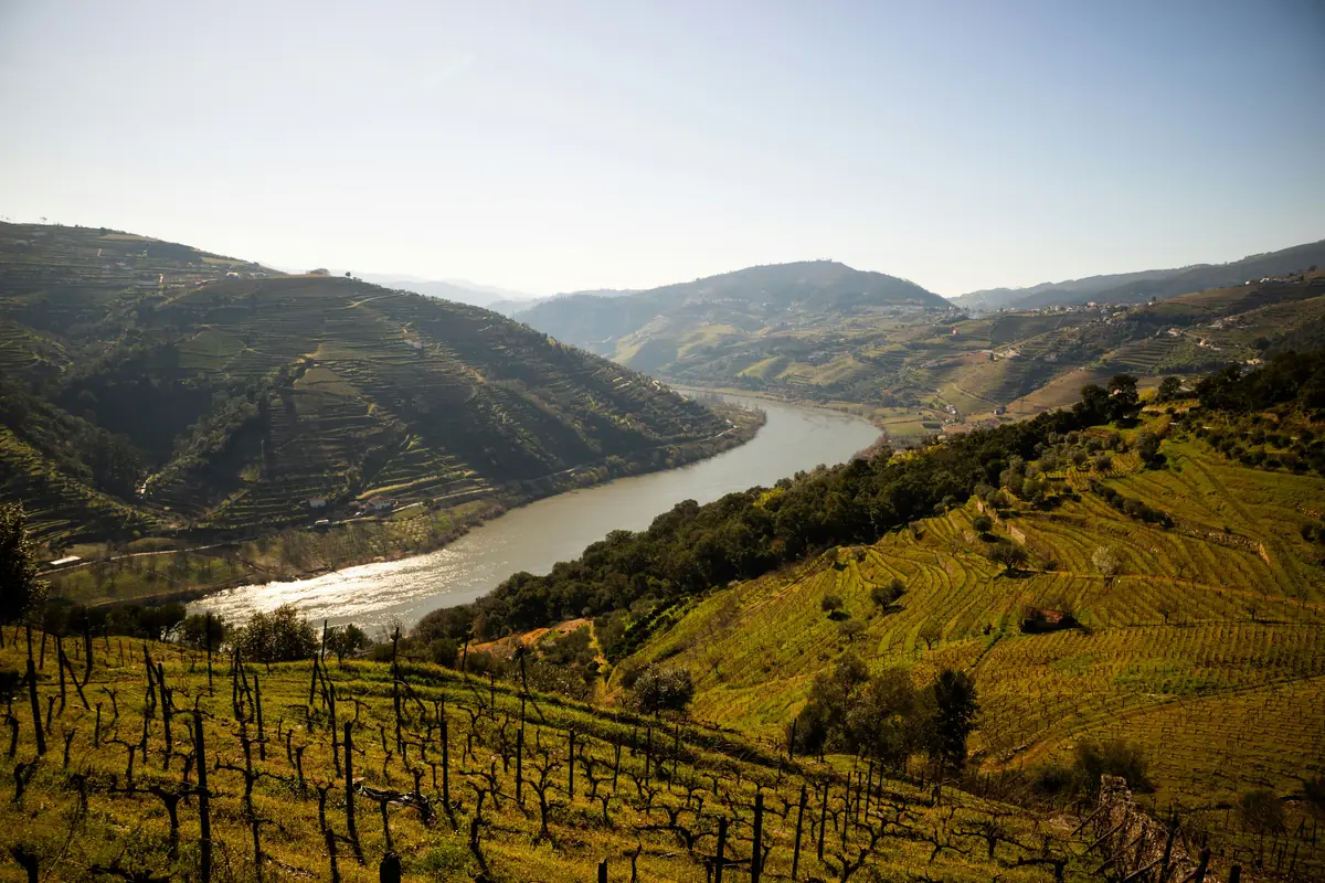 Portugal Wine Regions: 5 to Visit (and What to Drink) 6 portugal wine regions 5 to visit and what to drink 3