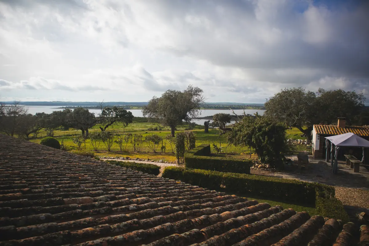 Portugal Wine Regions: 5 to Visit (and What to Drink) 7 portugal wine regions 5 to visit and what to drink 4
