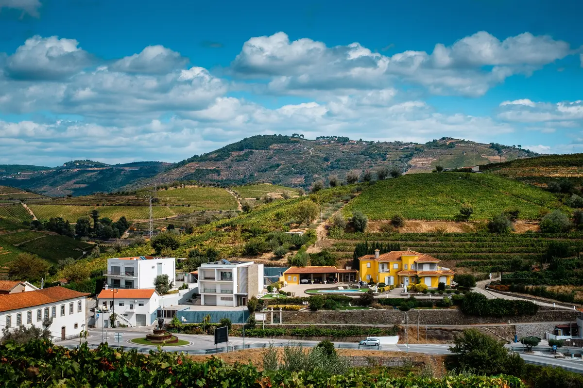 Portugal Wine Regions: 5 to Visit (and What to Drink)