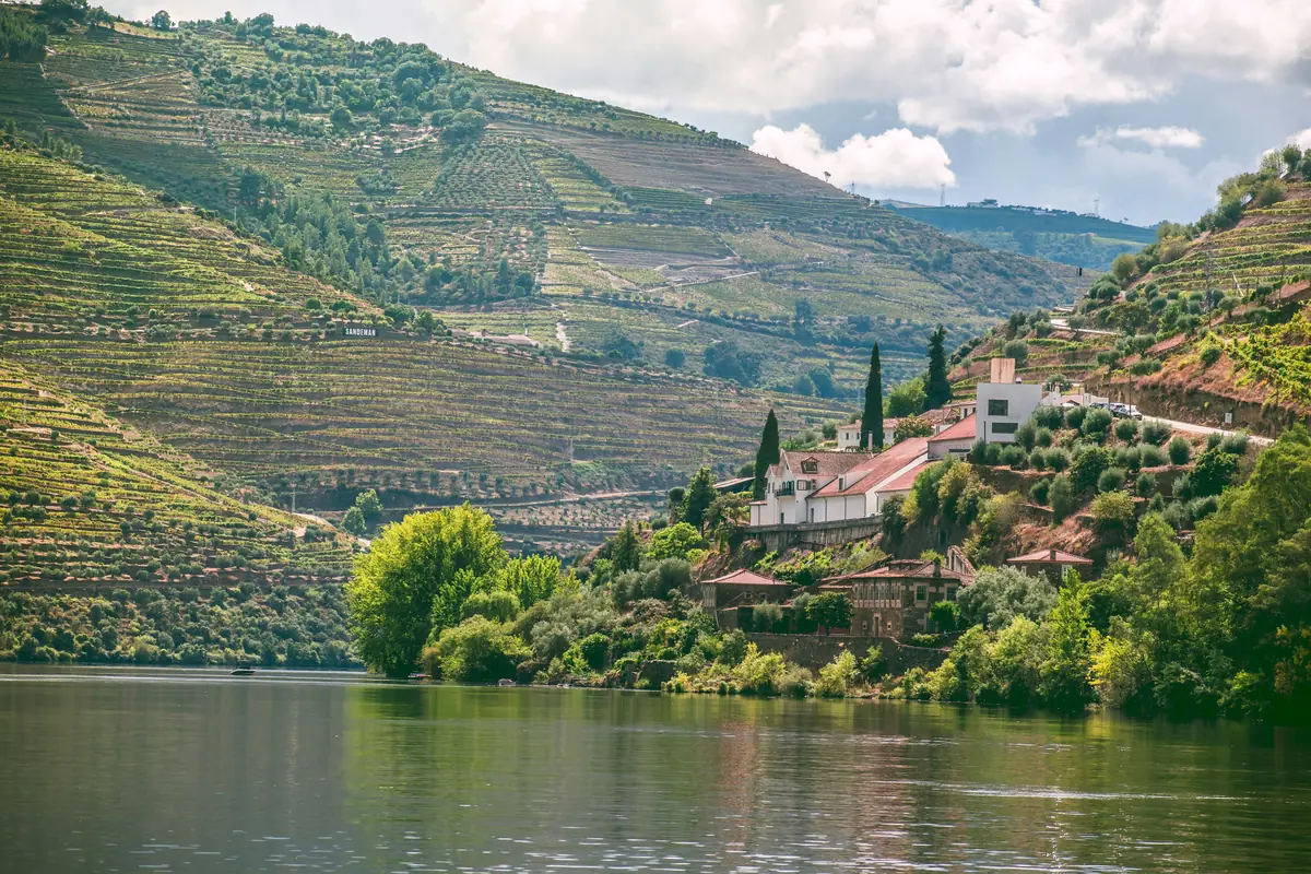 Portugal Wine Regions: 5 to Visit (and What to Drink) 3 portugal wine regions 5 to visit and what to drink