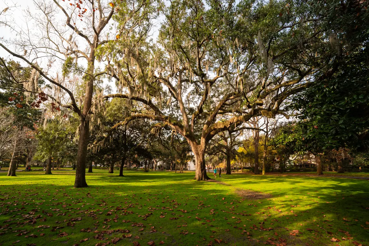 Southeast Road Trip: The 2-Week Route Worth Driving 7 southeast road trip 4 routes worth the miles 5