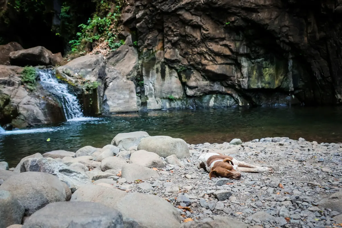 tamanique waterfalls skip the 45 tour hire a guide 1